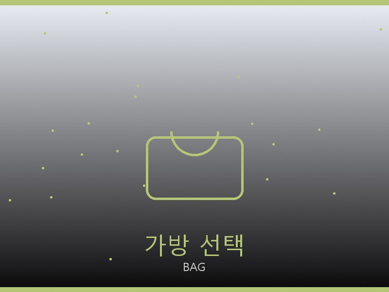 디저니 백 레플 사이트 가방 선택 가이드
