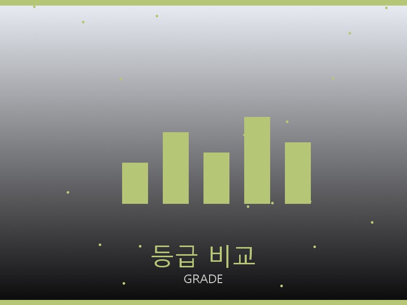 디저니 백 레플 사이트 등급 기준 비교