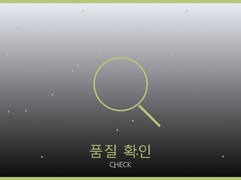 디저니 백 레플 사이트 품질 확인 체크포인트